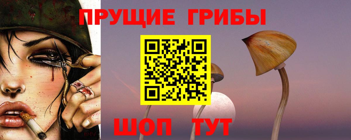 Галлюциногенные грибы прущие грибы  Вход с VPN  Петрозаводск 